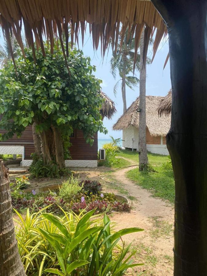 Wild Wood X Hansa Beach Fitness Resort Thong Sala Eksteriør billede